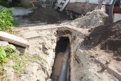 Tree Roots in Sewer Lines: A Leading Hartselle Plumbing Issue